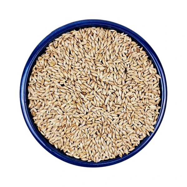 تخم کتان مکمل غذایی فوقالعاده برای پرندگان زینتی