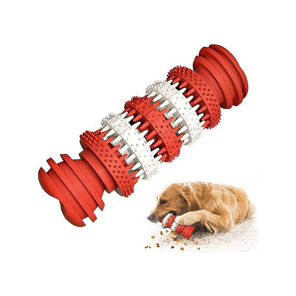 اسباب بازی دندانی و مسواک تشویقی خور سگ شان