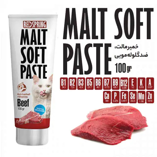 خمیر مالت گربه رد اسپرینگ به همراه مولتی ویتامین با طعم گوشت گاو وزن 100 گرم RedSpring Malt Soft Paste with Beef