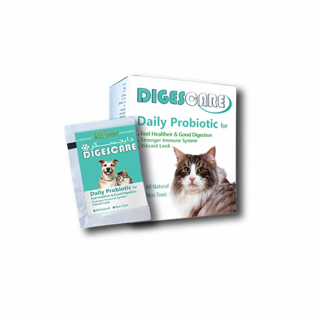 پروبیوتیک روزانه، مخصوص سگ و گربه، 15 ساشه، مدل دایجسکر، برند بایوران Biorun, Daily Probiotic, Dog and Cats, Digescare