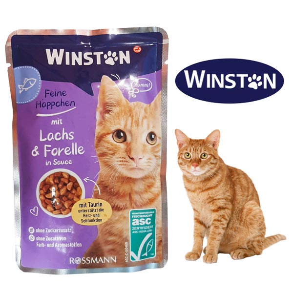 پوچ گربه وینستون با طعم ماهی سالمون در ژله گیاهی Winston Salmon In Herbs Jelly وزن 100 گرم