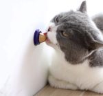 آبنبات تشویقی گربه با طعم کت نیپ و ماهی Cat Licking Candy With Catnip وزن 100 گرم - تصویر 2