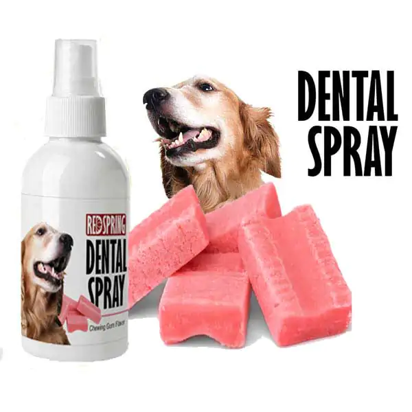 اسپری دنتال رد اسپرینگ با رایحه آدامس 60ml Red Spring Dental Spray With Chewing Gum Scent 60ml
