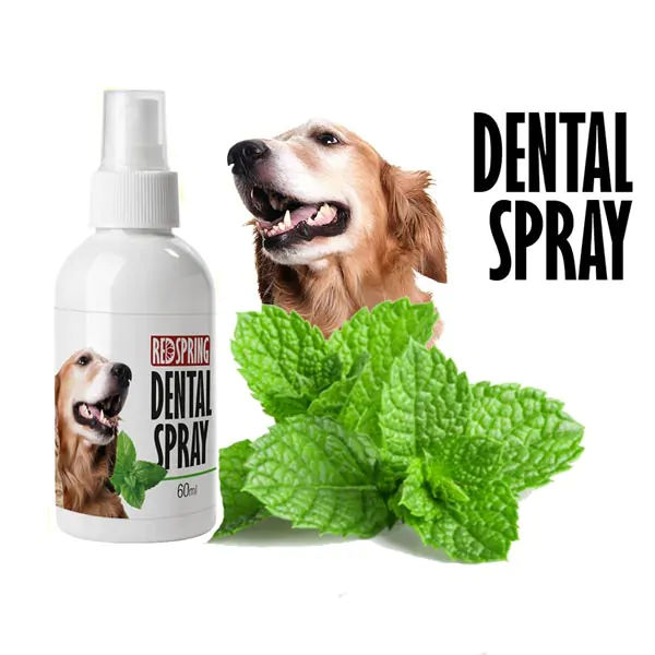 اسپری دنتال رد اسپرینگ با رایحه نعنا 60ml Red Spring Dental Spray With Mint Scent 60ml